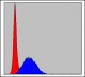 MCM2 Antibody